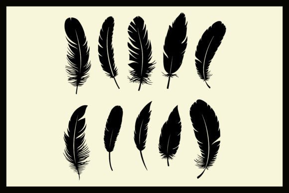 Download Bird Feather Silhouette Vector Clipart - Vector Collection