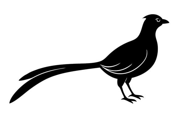 Download Elegant Black Pheasant Silhouette Vector - Vector Collection