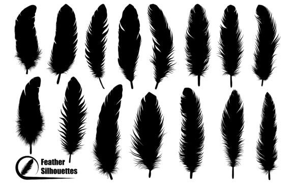 Download Bird Feather Silhouettes Vector Art - Vector Collection
