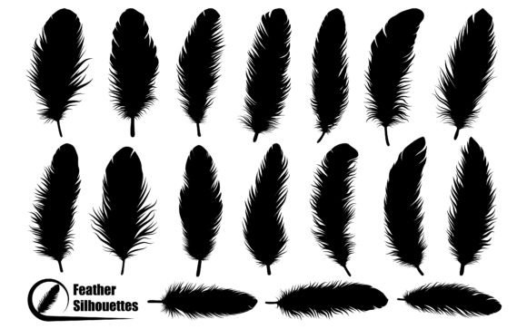 Download Bird Feather Silhouettes Vector Art - Vector Collection