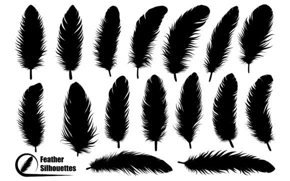 Download Bird Feather Silhouettes Vector Art - Vector Collection